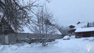 Family farm:  We are a small organic farm, which currently only produces hay and vegetables.