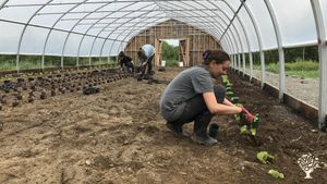 Jardin d'herboristerie, 30 ans cette année :)