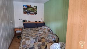 Ich betreibe ein Selbstpflückblumenfeld /Kürbisproduktion und Pferdehaltung