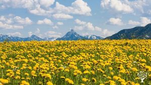 Family home and garden - rural, Agritourism Destination