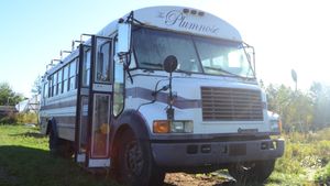 Homesteading & Seed Saving on the South Shore of Nova Scotia