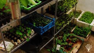 Woodland Small holding 2 minutes from Porthallow Beach