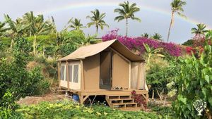 10 acre farm and fruit orchard on the south side of Maui Hawaii
