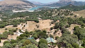 Dağda,Keçi,koyun,arı,bağ,sebze,meyve