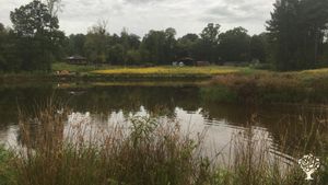 32 acre hobby farm focused on self sustaining farming methods in North Carolina