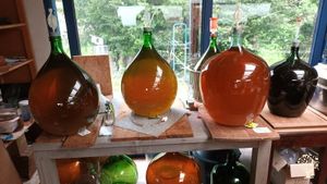 Bosbeheer en biologische groententeelt