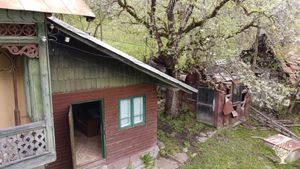 Organic Living and Farming at the base of the Bucegi Mountains, Glamping, Camping & 1 Semiroom