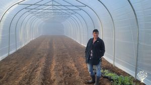 Mixed vegetable farm, small orchard and chickens