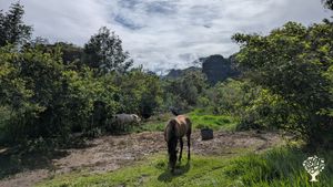 Somos un espacio familiar que busca compartir prácticas de agricultura sostenible para autoconsumo