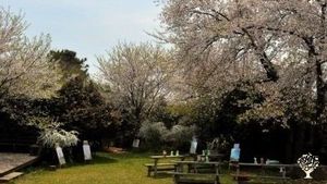 <CN103>동백나무숲  유기농농장 / Camellia Forest Organic Farm