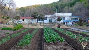 <GW125> 꽃과 함께 고요한 산속에서의 쉼 / Rest in the Tranquil Mountains with Flowers1