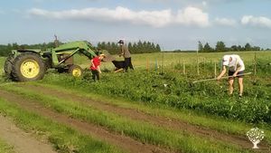 Diverse 160-acre family farm producing market vegetables, grassfed Highland beef, honey & eggs