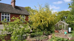 Social Enterprise (Creative Beings CIC), Agroforestry,Food forest, Orchard, woodland, garden