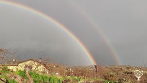 Casa familiare e giardino - rurale, Azienda agricola, Fattoria di famiglia