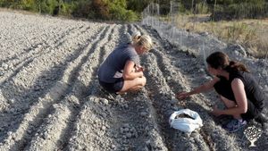 Azienda agricola in Alta Valmarecchia
