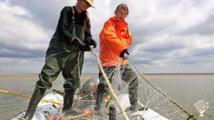 Agritourism Destination