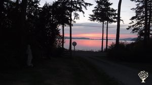 Washington tree farm with saw mill and organic gardens