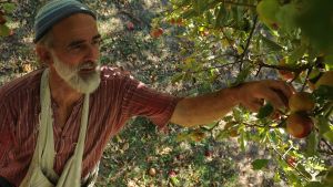 FamilyFarm, Streuobst wird zu Saft u. Cidre, Kräuter, Hühner, Bienen, Rinder, Direktverkauf