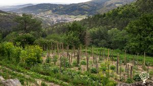 Ferme biologique brebis viande et pépinière d'arbres fruitiers