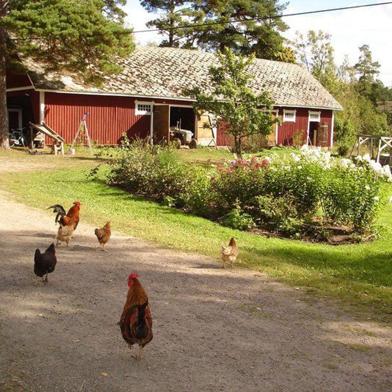 Communal Living Group, Mixed Farm, Farm, Woodlot, Community farm ...