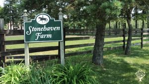 Family home and garden - urban