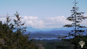 Read island from Quadra