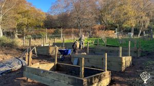 Smallholding on the flanks of the Spey Valley in Scotland