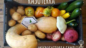 Produzione ortaggi