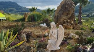 Jardin de cactus y suculentas 