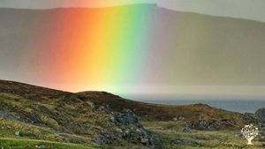 Smallholding, tree nursery, livestock farm, croft