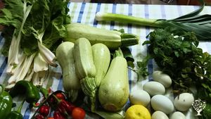 Alimentos de nuestro huerto