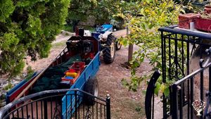 Ferme familiale de production de l'huile d'olive Bio