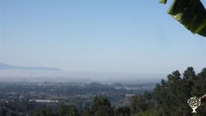 Avocado farm🥑 with beautiful view, surrounded by redwoods, 30 minutes from Santa Cruz