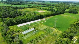 We are a biodiverse, regenerative, chemical free farm that grows products for member based clients