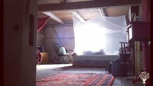 Family home and garden - rural, Agritourism Destination, Livestock Farm, Orchard