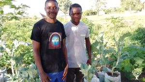 Cacilia garden is found in mkwajuni Songwe Tanzania 🇹🇿