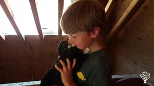 Eco Retreat, Mixed Farm, Family farm