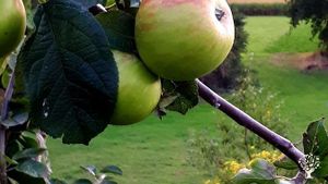 Eco Lodge/Wilderness Adventures