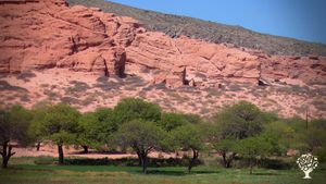 Agritourism Destination