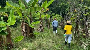 Milena and her dad walking around the farm before cleaning the area