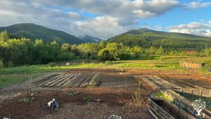 Food Forests and Annual Garden