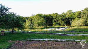 Ferme maraîchage bio diversifiée