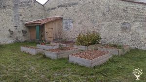 Les premiers bac de permaculture
