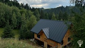 Serenity peak wants and aims to be about truth