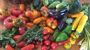 Non-commercial little family aiming for self-sufficiency