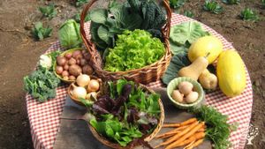Sustainable family farm raising a variety of heirloom vegetables, alliums, & heritage livestock