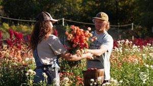Diversified cut-flower, fruit, and veggie farm