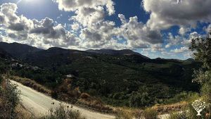 Family home and garden - rural