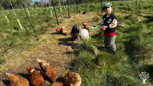 Home and developing small holding in the South Downs National Park in East Sussex
