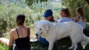 🇮🇹Volontarie di rilassano insieme! 
🇬🇧Volunteers chilling out together!